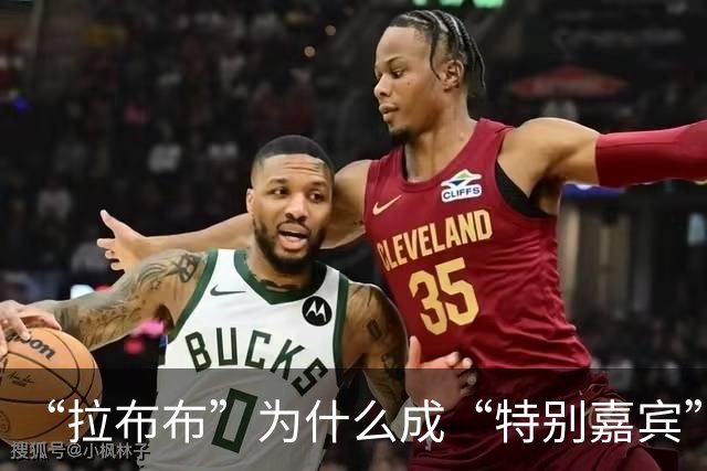 “拉布布”为什么成“特别嘉宾”？