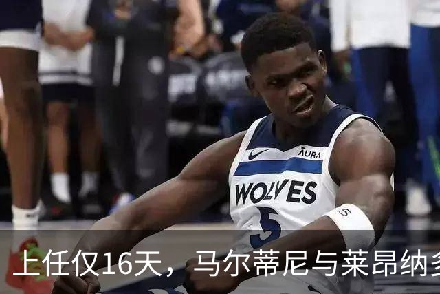 上任仅16天，马尔蒂尼与莱昂纳多辞去意大利足协职务