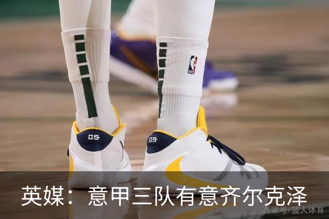 英媒：意甲三队有意齐尔克泽